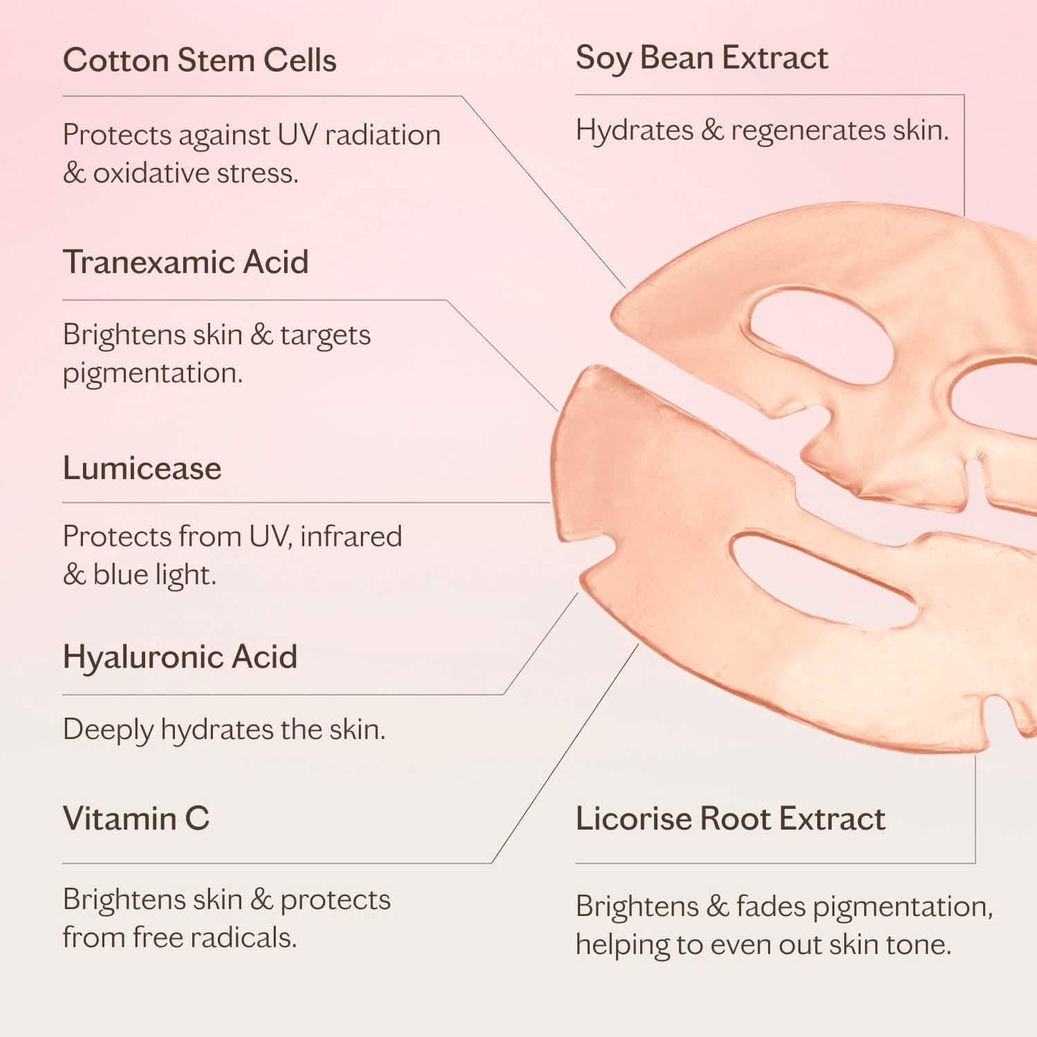 Anti-Pollution Hydrating Face Mask