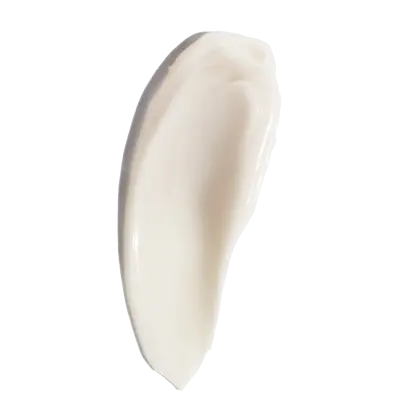 White oval object on a white background