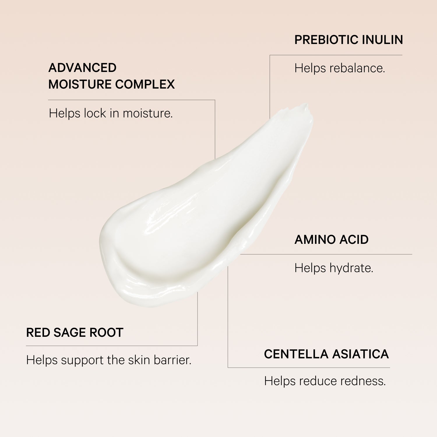 The Calming Moisturiser