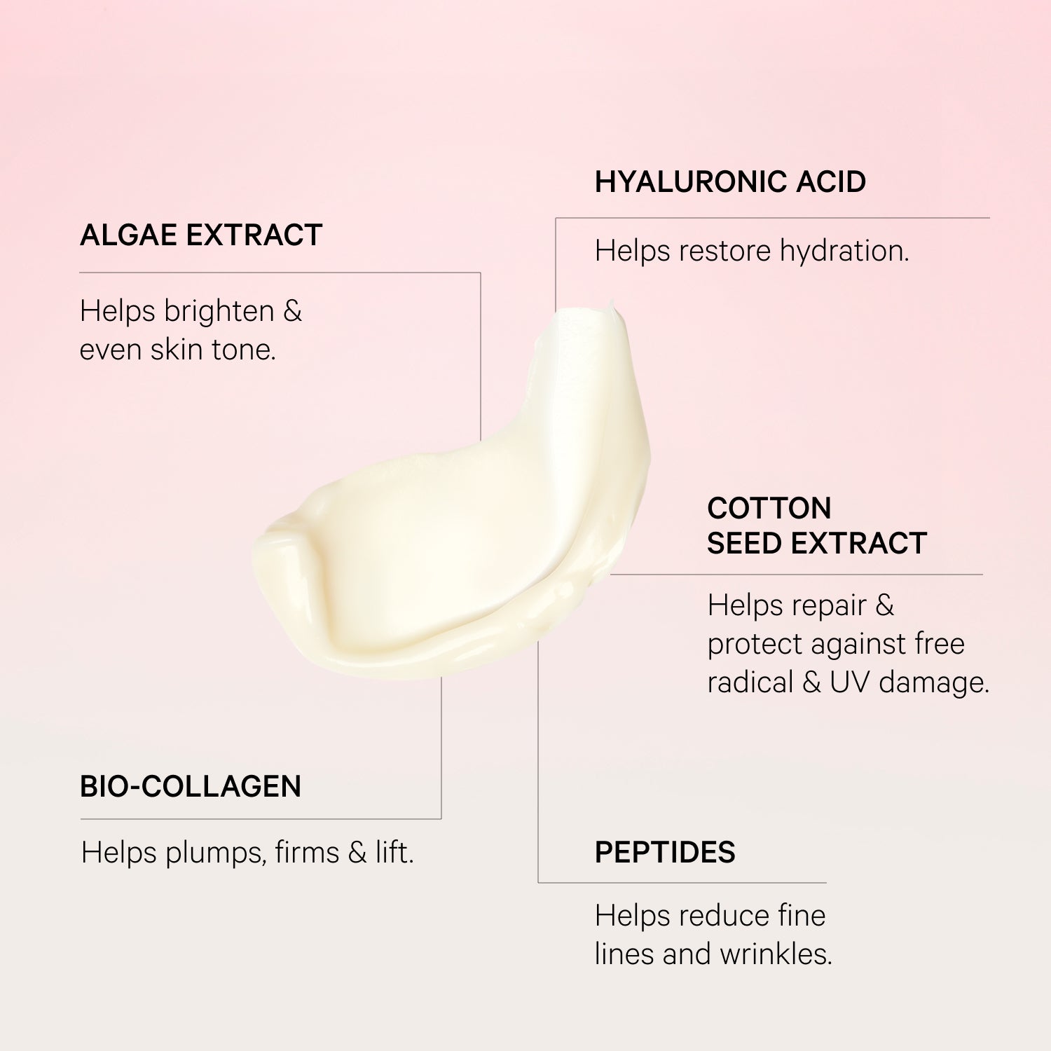 The Light Moisturiser