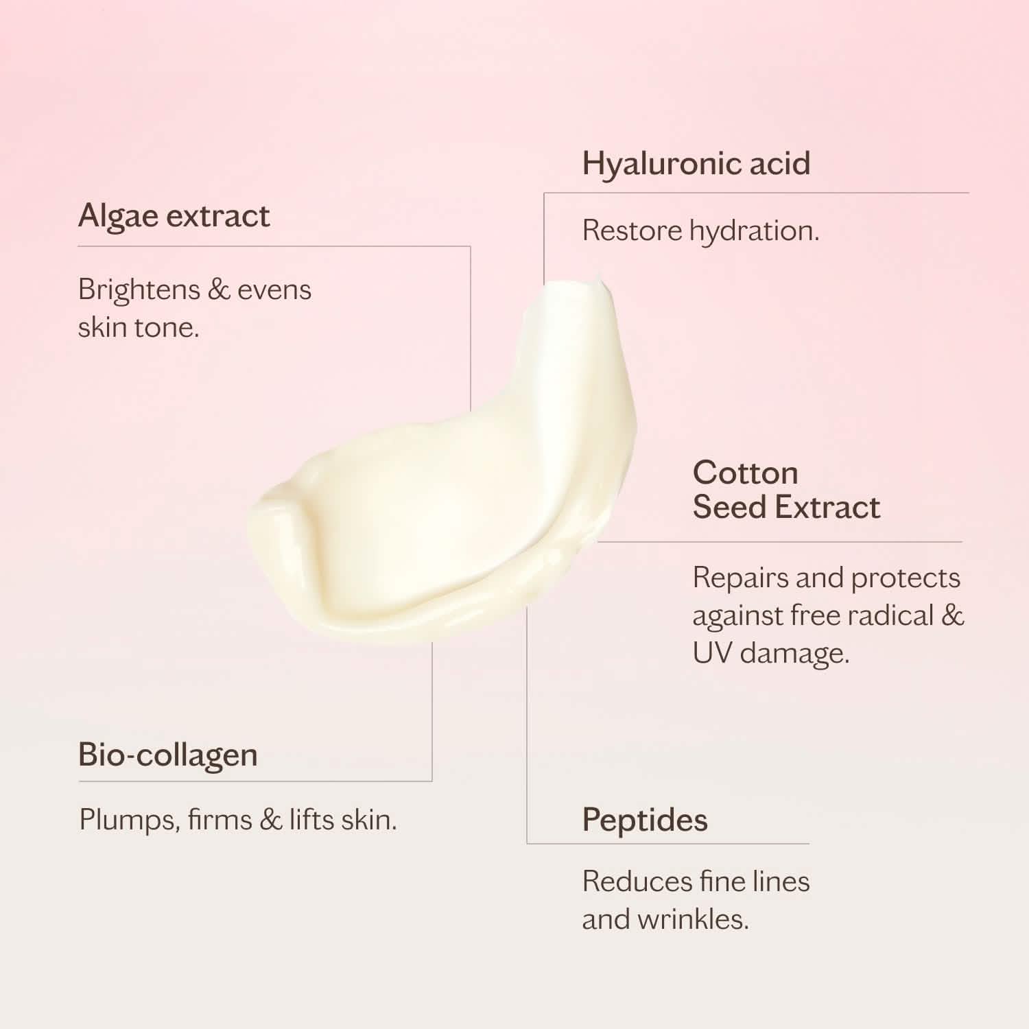 The Rich Moisturiser