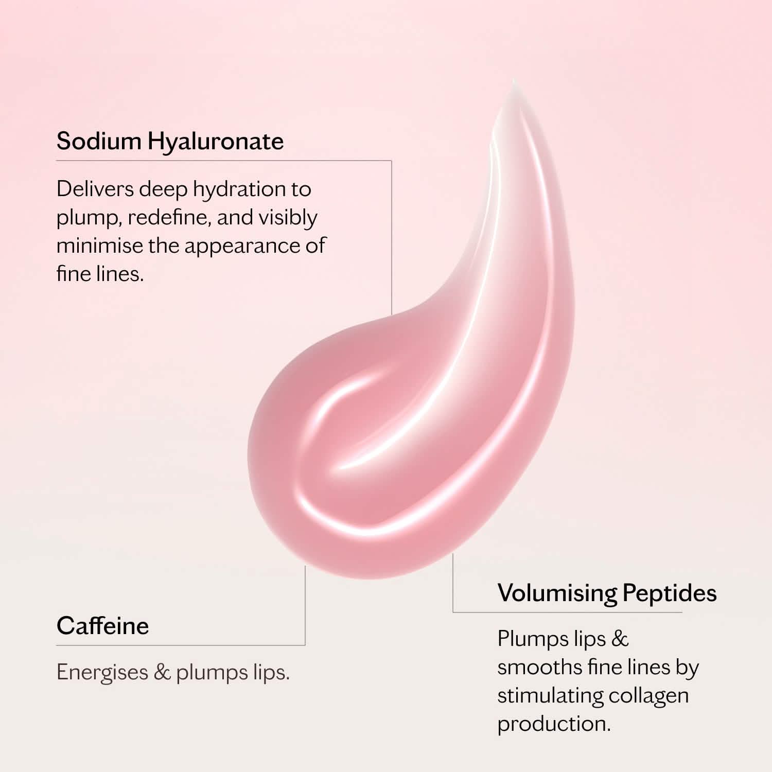 Volumising Lip Perfector