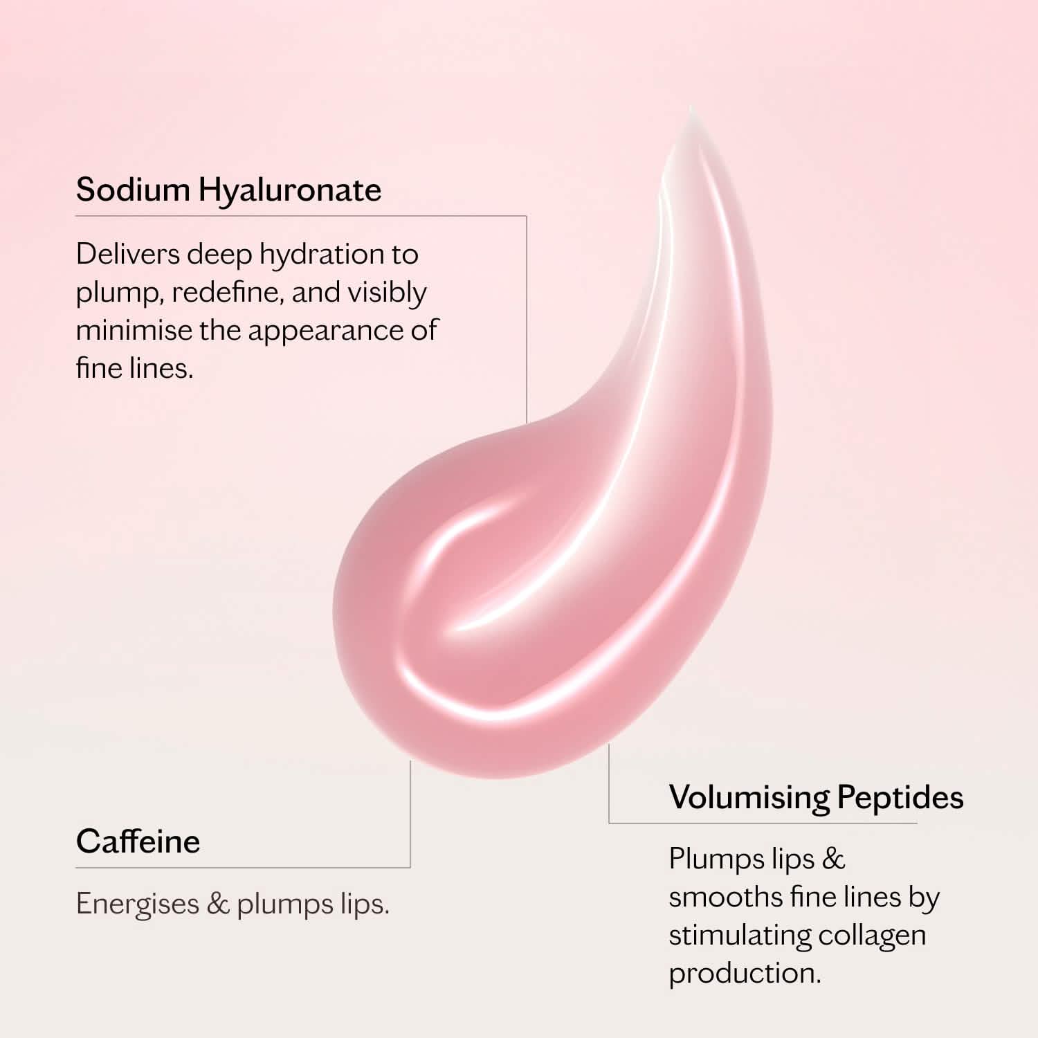 Volumising Lip Perfector