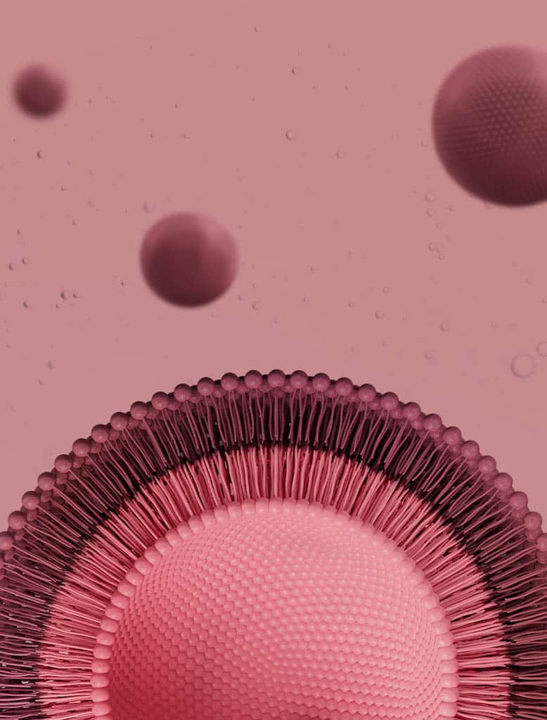 Introducing M5Rx™ an MZ Skin Complex