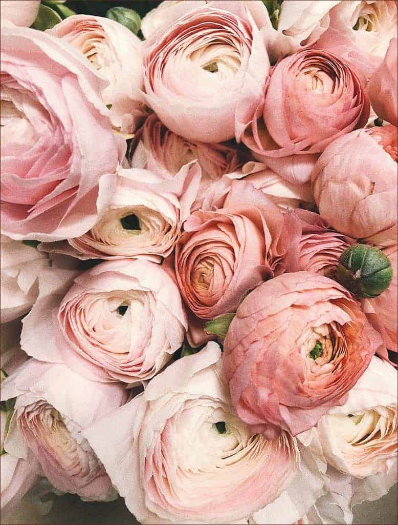 ‘Parfum’ in Skincare – Is it really bad?