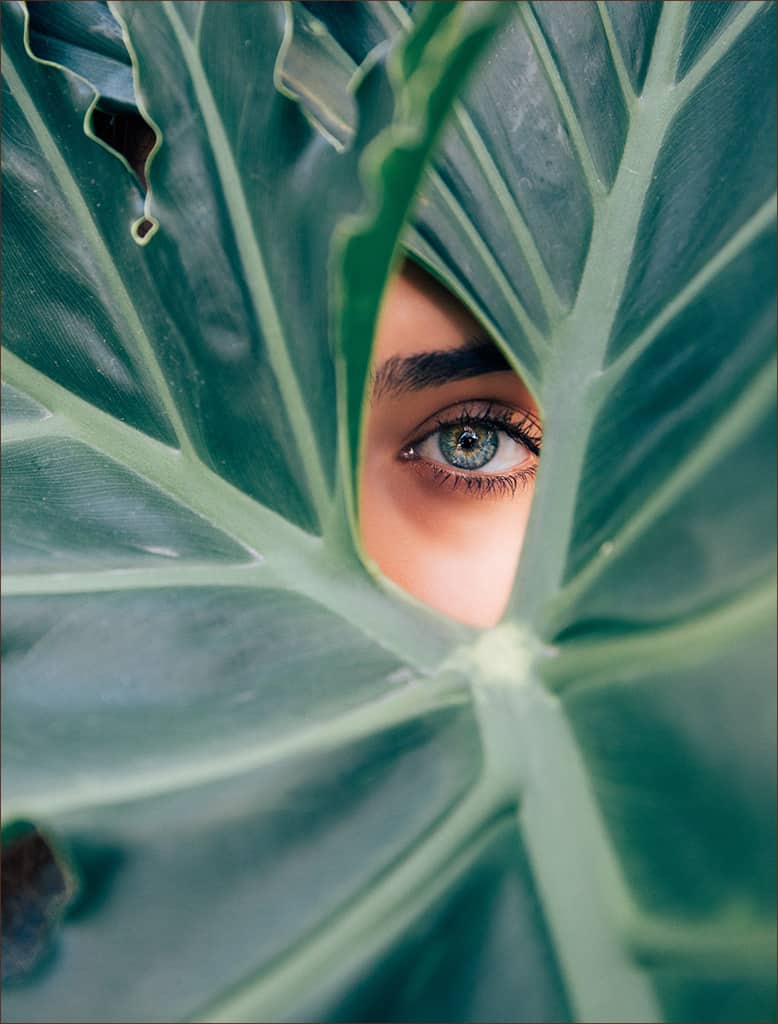 Sustainability in skincare