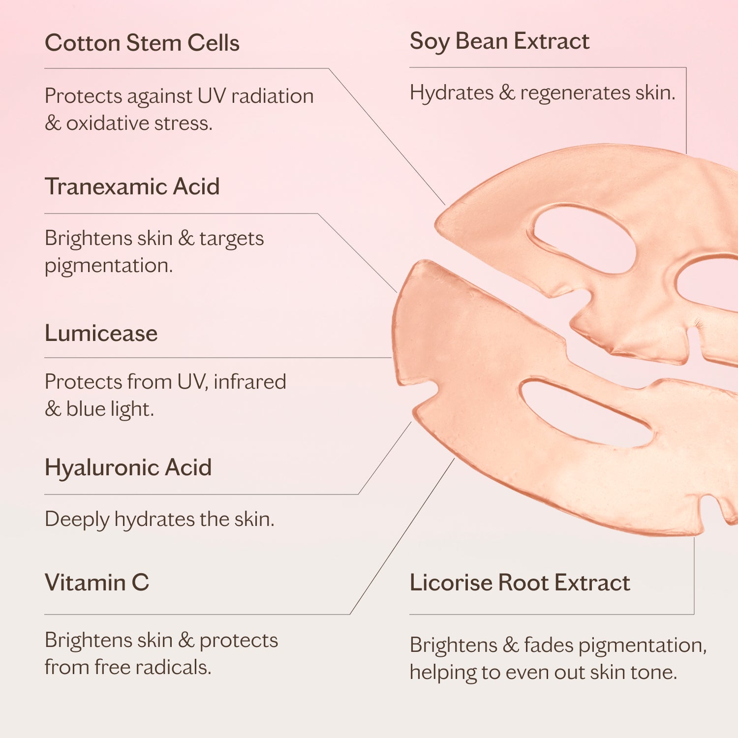 Anti-Pollution Hydrating Face Mask