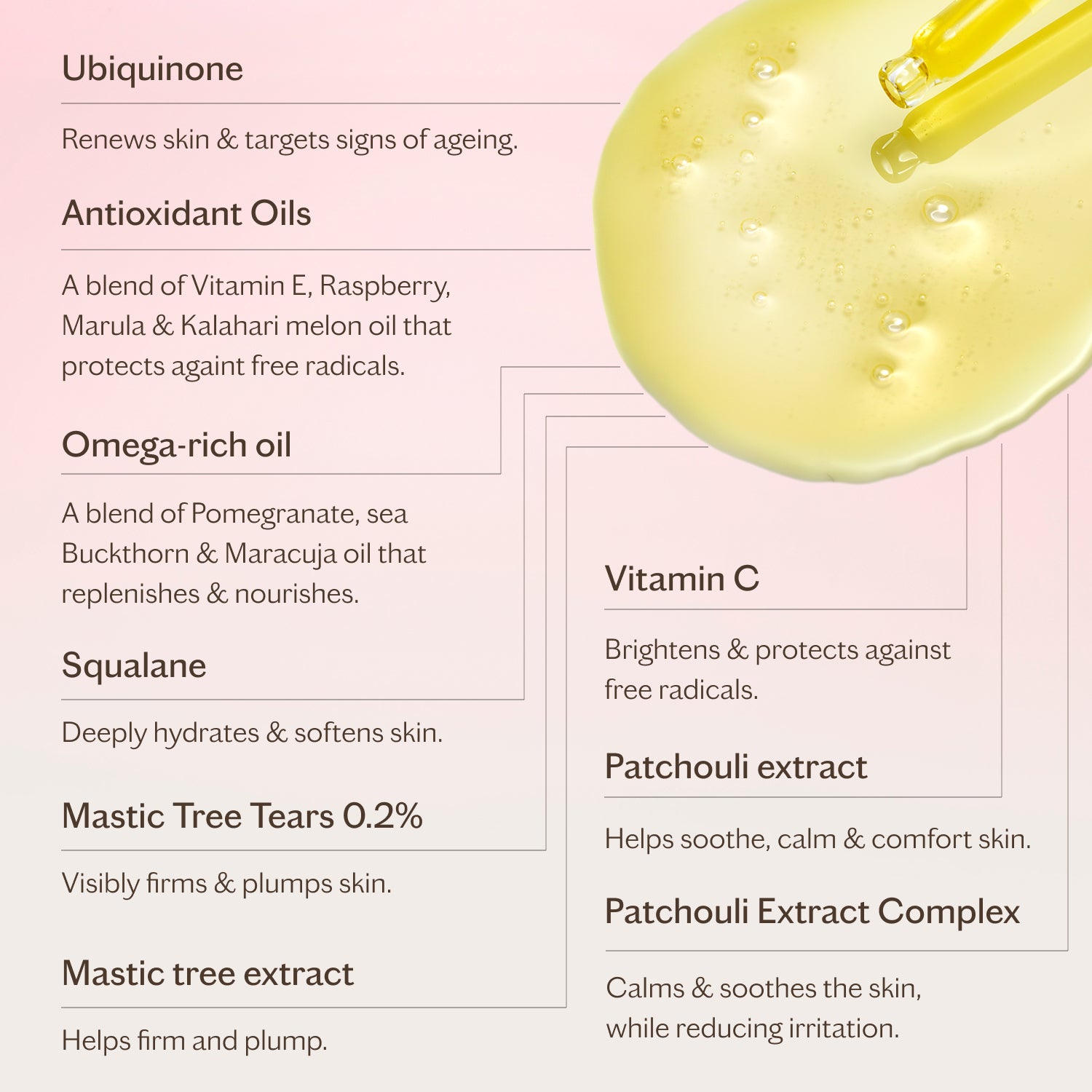 Reviving Antioxidant Facial Oil | Nourish, Protect & Restore Glow