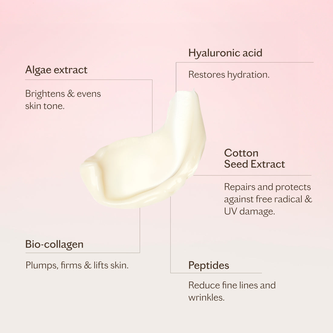 The Light Moisturiser