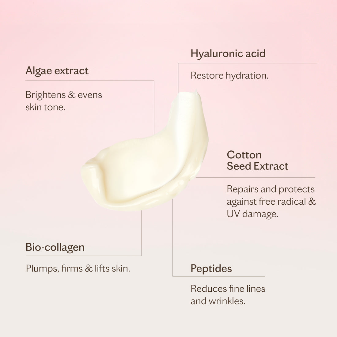 The Rich Moisturiser