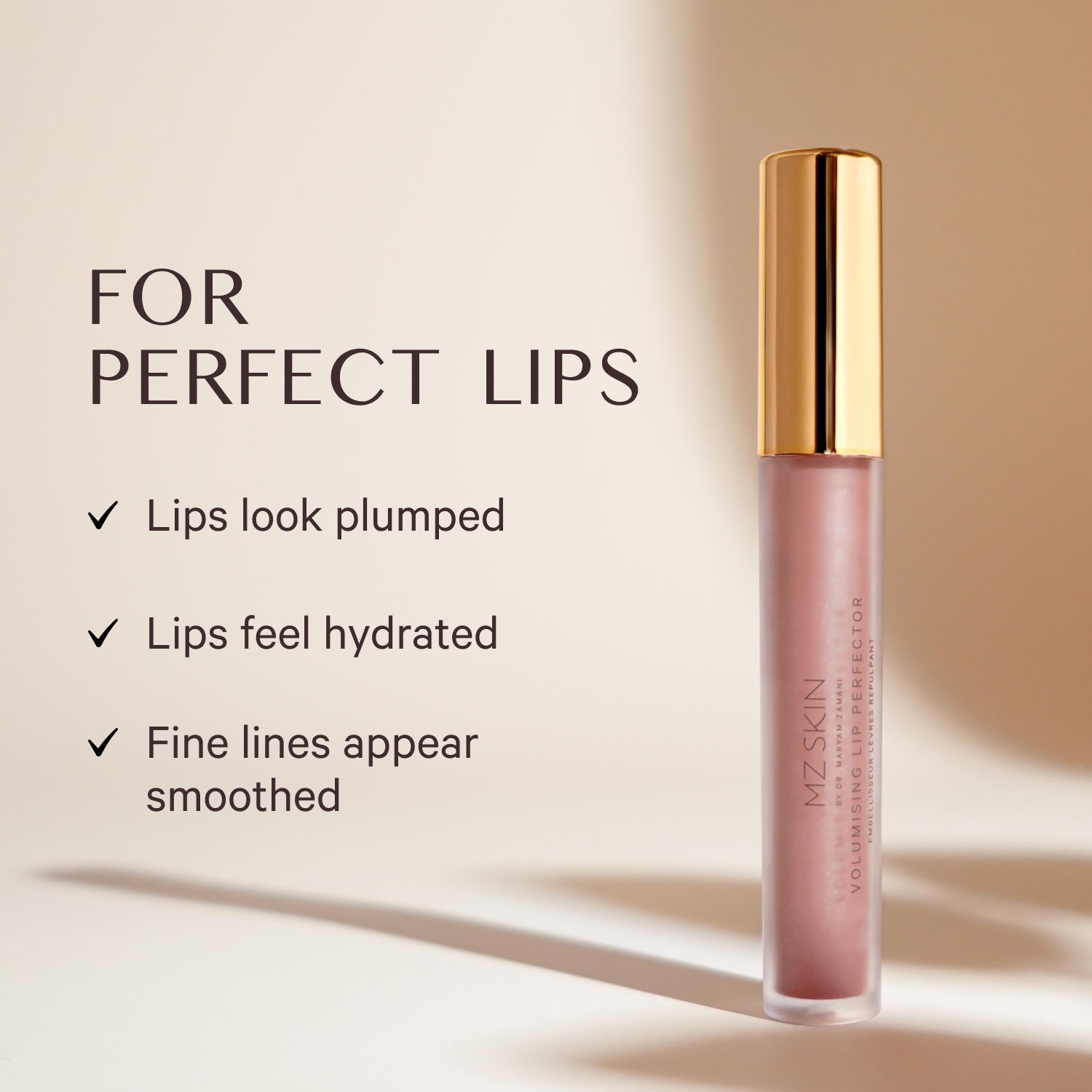 Volumising lip perfector Shade 2