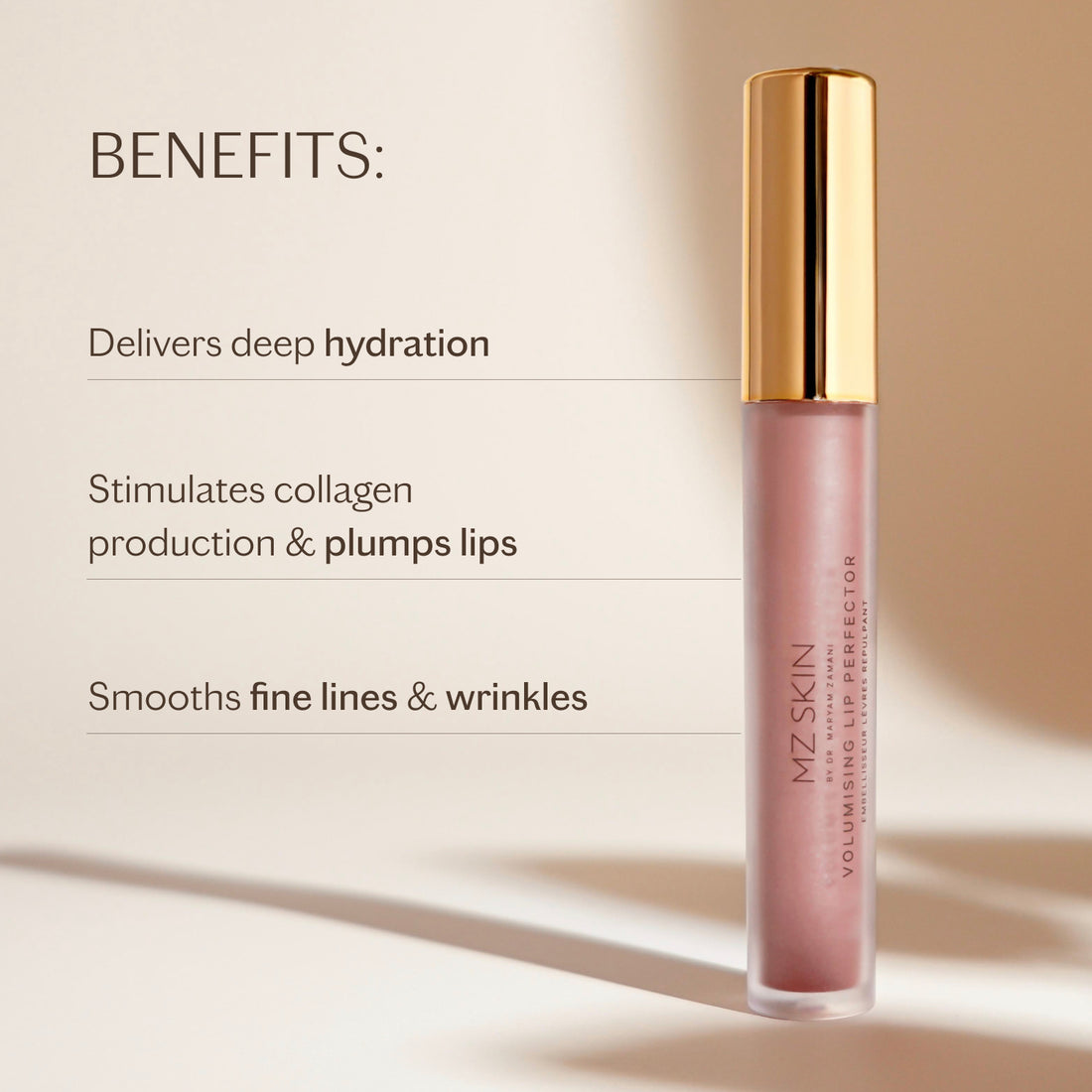 Volumising lip perfector Shade 2