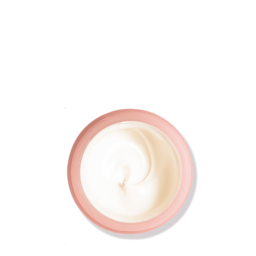 The Rich Moisturiser